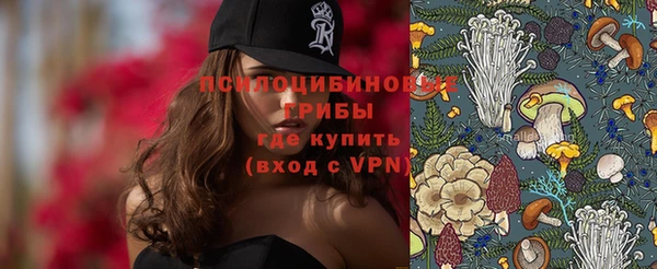амфетамин Алексеевка